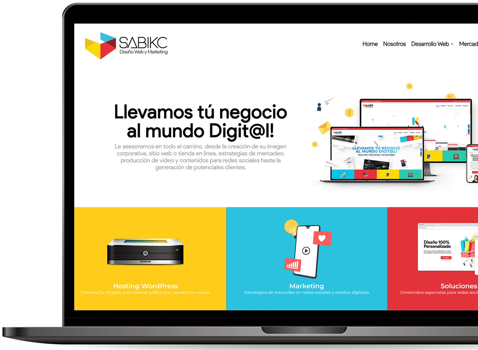 diseño web wordpress galicia